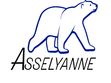 (c) Asselyanne.fr